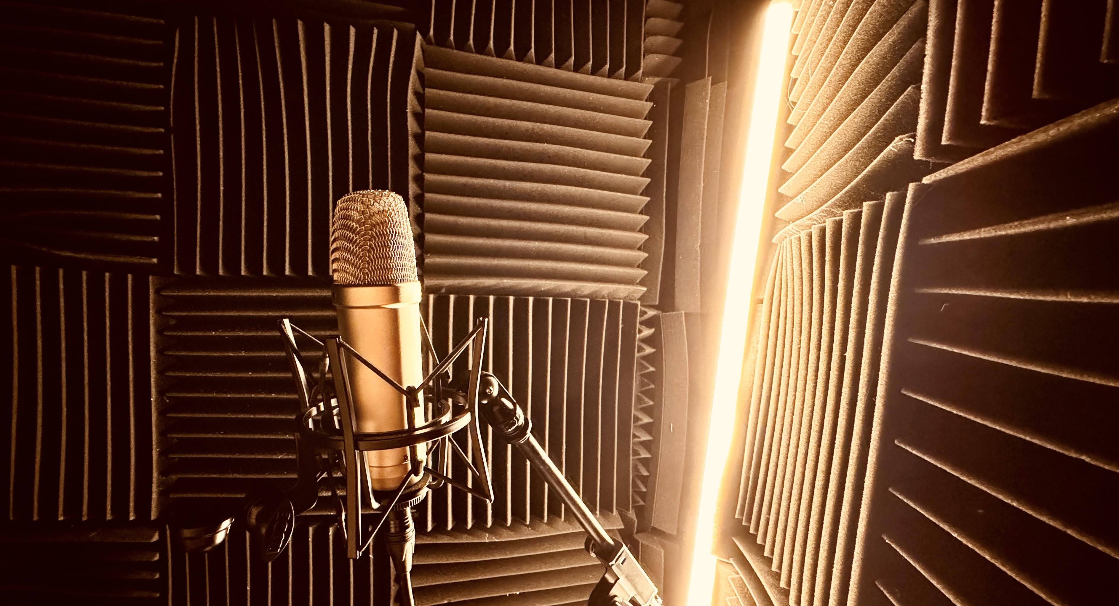Tim Mascara's home recording studio — acoustic foam booth with condenser microphone